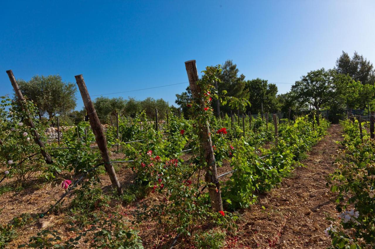 Borgo Del Tempo Ritrovato - Luxury Relais In Puglia Holiday home *