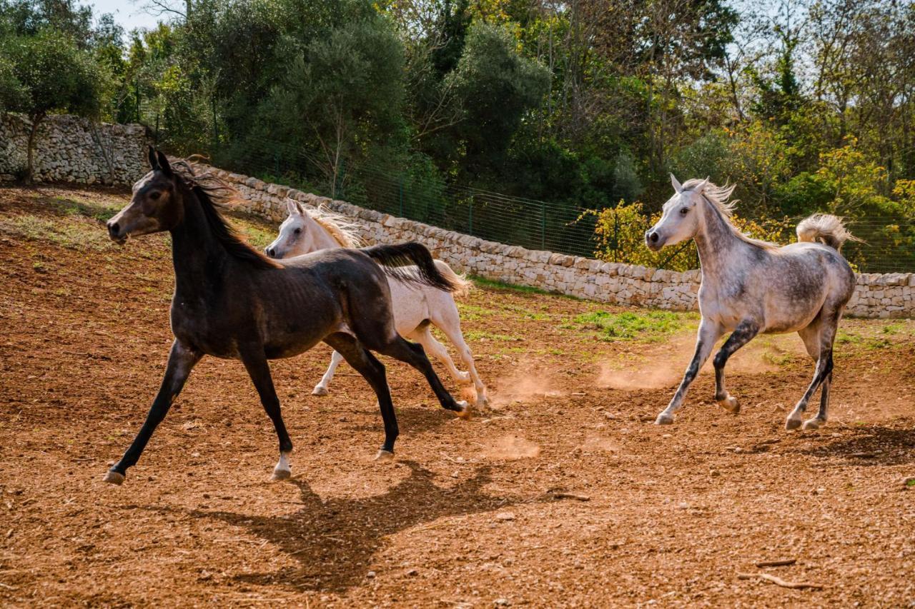 Borgo Del Tempo Ritrovato - Luxury Relais In Puglia Holiday home
